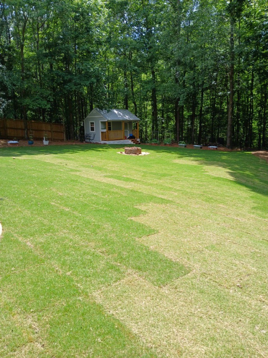 Large backyard sod installation with fire pit and shed